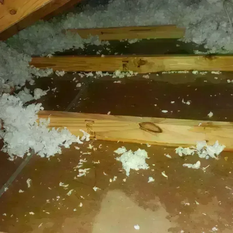 Attic Water Damage in Garfield County, CO