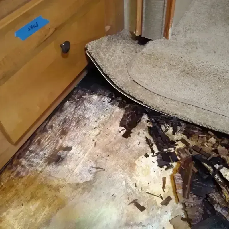 Wood Floor Water Damage in Garfield County, CO